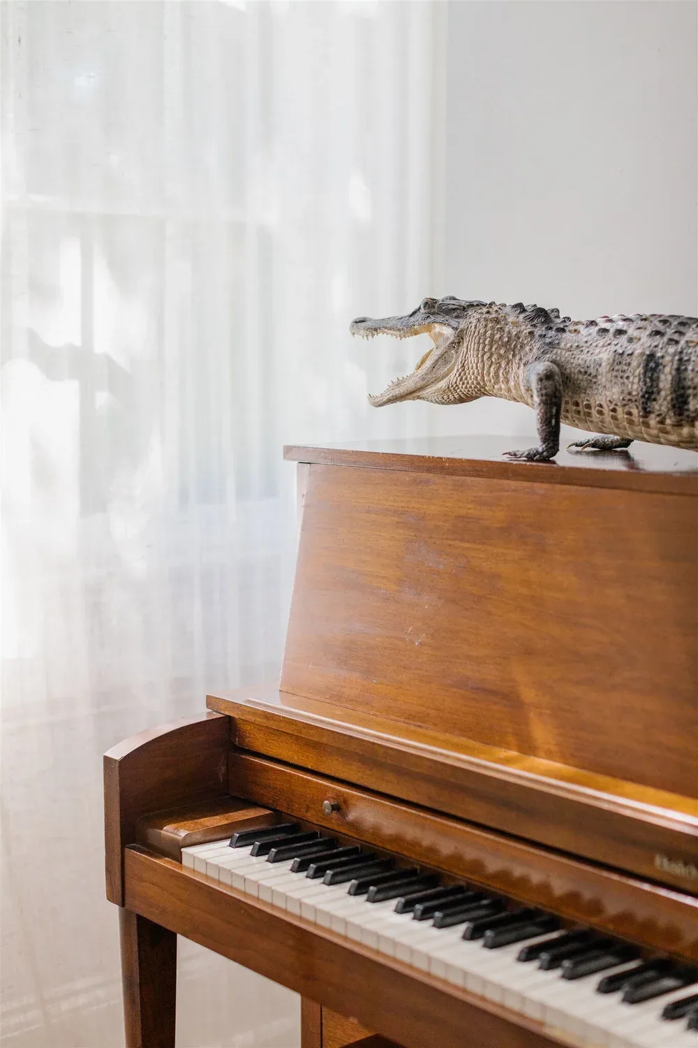 Piano and decorative detail